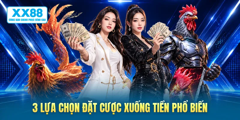 3 lựa chọn đặt cược xuống tiền phổ biến