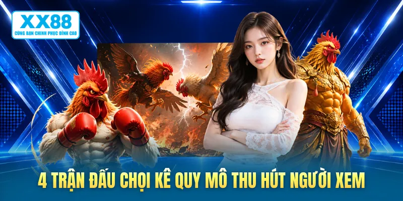4 trận đấu chọi kê quy mô thu hút người xem