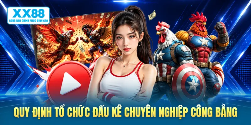 Quy định tổ chức đấu kê chuyên nghiệp công bằng