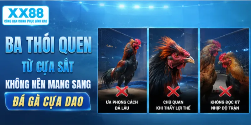 Ba thói quen từ cựa sắt không nên mang sang đá gà cựa dao