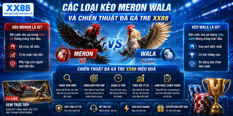 Các loại kèo Meron Wala và chiến thuật đá gà tre XX88