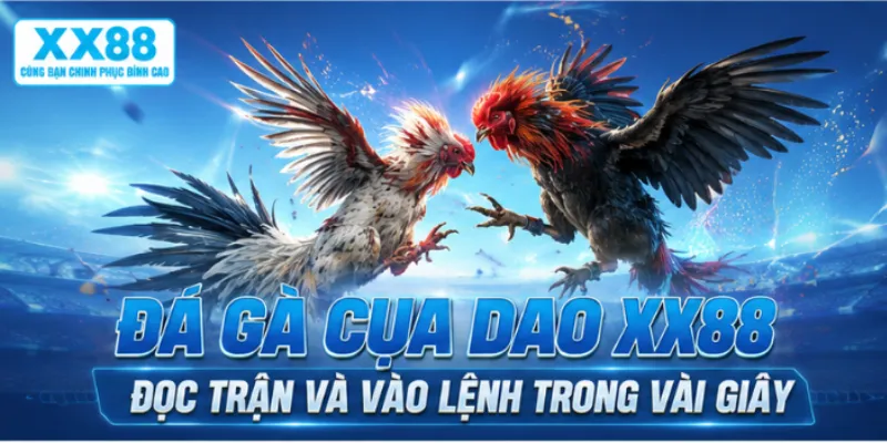 Đá Gà Cựa Dao XX88 – Đọc Trận Và Vào Lệnh Trong Vài Giây